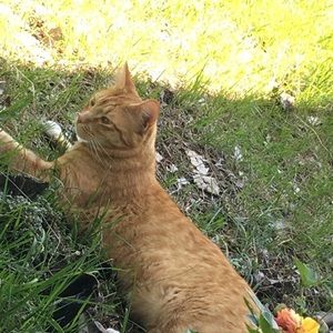 Meet your Posher, Emma